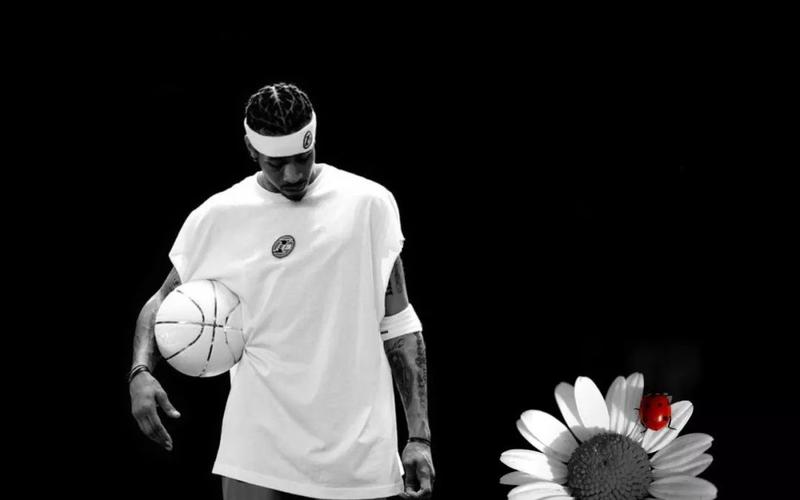 赛事维度的 赛事维度的